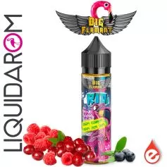 RIO - BIG FLAMANT 50ml Liquidarom