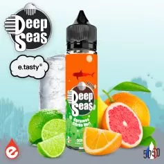 RAQUA 50ml - DEEPSEAS par e-tasty