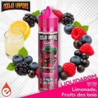 FURIOUS STACH - MODJO VAPORS LIQUIDAROM 50ml