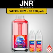 Puff JNR 30K Falcon Gem+ PASTÈQUE GIVRÉE (V2)