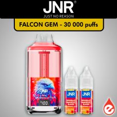 Puff JNR 30K Falcon Gem+ PAST&Egrave;QUE GIVR&Eacute;E (V2)