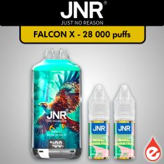 Puff JNR Falcon-X MANGUE FRUIT DE LA PASSION