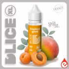 TROPICAL GIVRÉ - D'lice XL 50ml