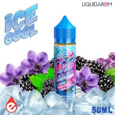 MURES SAUVAGES VIOLETTE 50ml - ICE COOL